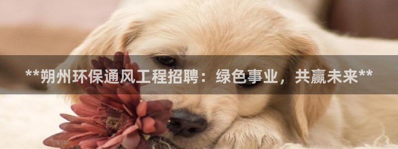 彩名堂免费计划使用方法是什么：**朔