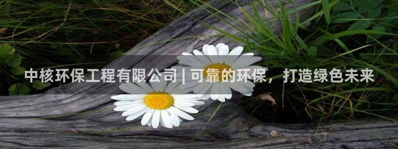 彩名堂怎么打最稳：中核环保工程有限公