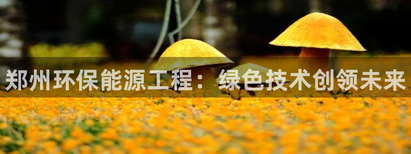 彩名堂计划真的准吗：郑州环保能源工程
