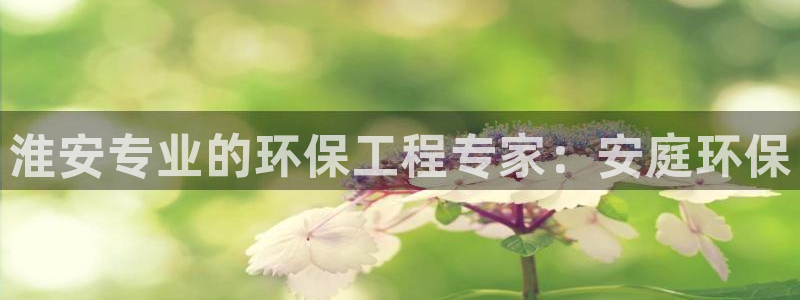 彩名堂最新版www：淮安专业的环保工