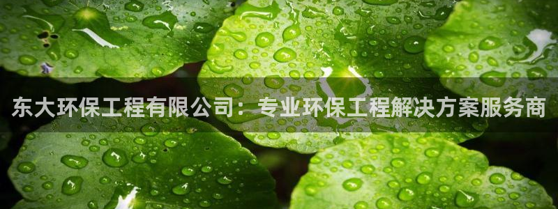 彩名堂预测免费计划怎么看的：东大环保