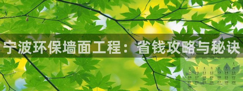 彩名堂预测网站：宁波环保墙面工程：省