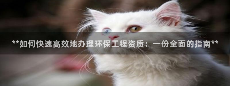 彩名堂图片：**如何快速高效地办理环保工程资质：一份全面的指南**