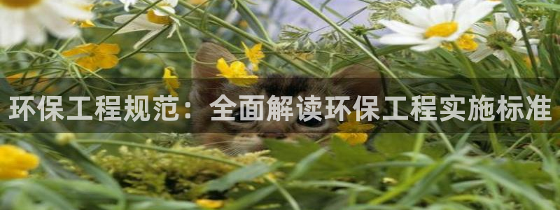 彩名堂免费计划5.0使用方法是什么：环保工程规范：全面解读环