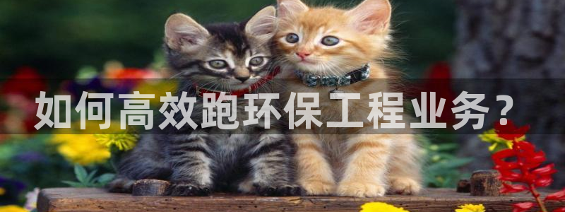 彩名堂客服电话号码：如何高效跑环保工程业务？