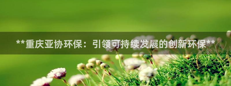 彩名堂v1.0.6：**重庆亚协环保：引领可持续发展的创新环