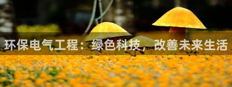 彩名堂客户端加拿大：环保电气工程：绿色科技，改善未来生活