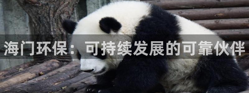 彩名堂计划怎么跟不挂：海门环保：可持