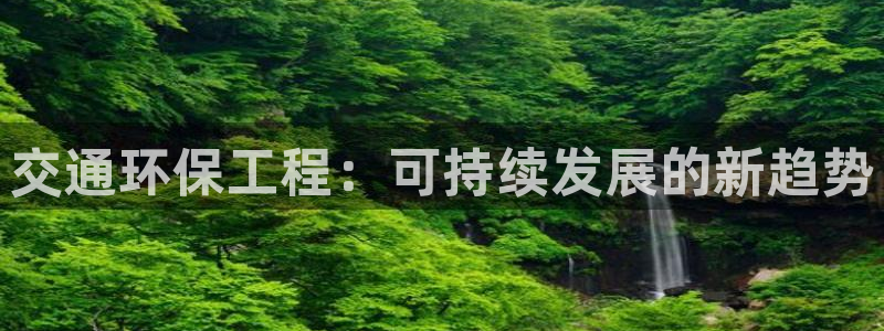 彩名堂好用还是千里马好用：交通环保工