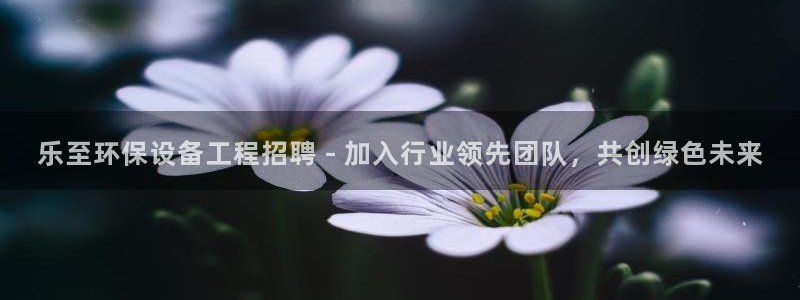 彩名堂为什么打不开：乐至环保设备工程招聘 - 加入行业领先团