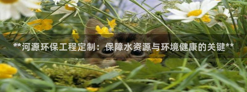 彩名堂改名稻草人了吗是真的吗：**河源环保工程定制：保障水资