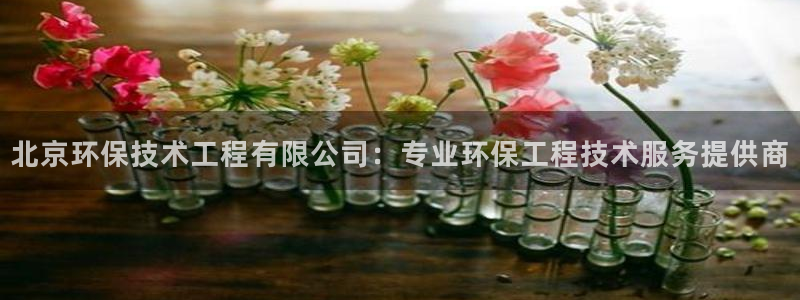 彩名堂计划怎么跟不挂：北京环保技术工程有限公司：专业环保工程