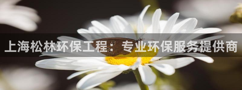 彩名堂免费计划官网5 0：上海松林环