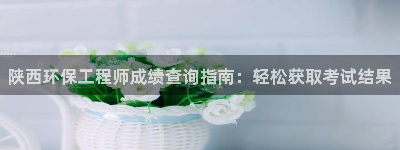 彩名堂是不是不能用了吗：陕西环保工程师成绩查询指南：轻松获取